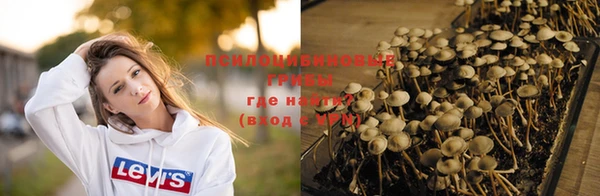 кокаин колумбия Богданович