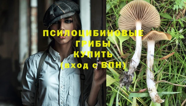 кокаин колумбия Богданович